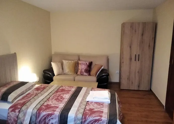 карасански Guest house 3*